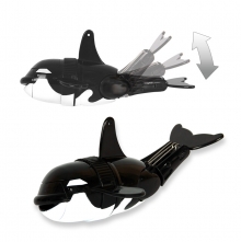 Море чудес Косатка-акробат Море чудес Косатка-акробат